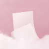 Cotton facial cosmetic wipes 100 pieces - Laroxy.pl