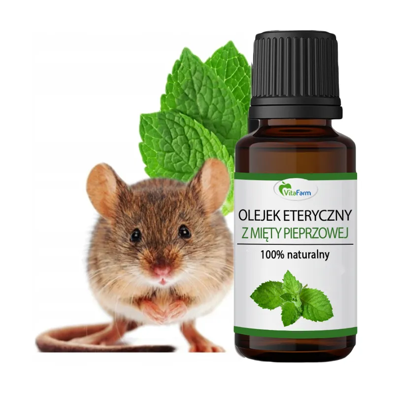 Mint oil for mice rodents Safe for Children ❤️ Laroxy
