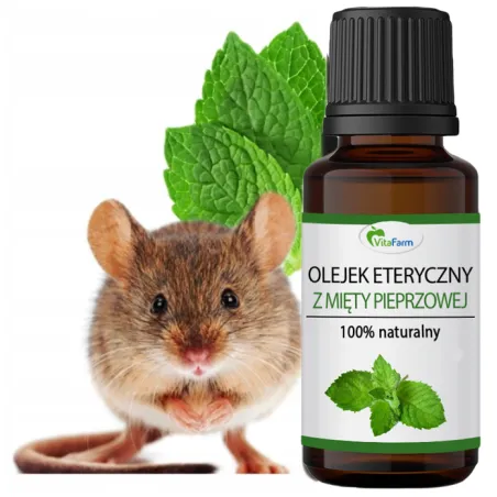 Olejek miętowy na myszy gryzonie Bezpieczny dla Dzieci ❤️ Laroxy