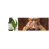Eucalyptus Fragrance Oil 100% natural ❤️ Laroxy.pl