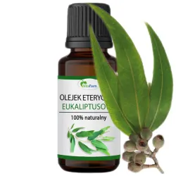 Olejki zapachowe EUKALIPTUS 100% naturalny do kominka sauny dyfuzora świec 10ml