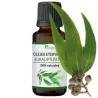 Olejki zapachowe EUKALIPTUS 100% naturalny do kominka sauny dyfuzora świec 10ml