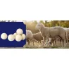 Woolen Dryer Balls 6 pieces LARGE + Oil ❤️ Laroxy.pl