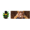 Eucalyptus Fragrance Oil 100% natural ❤️ Laroxy.pl