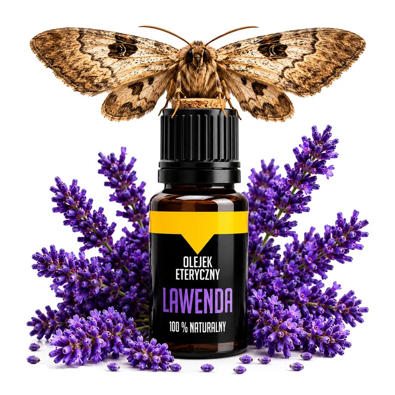 Lavender oil for moths - lavender at mole❤️ store Laroxy.pl